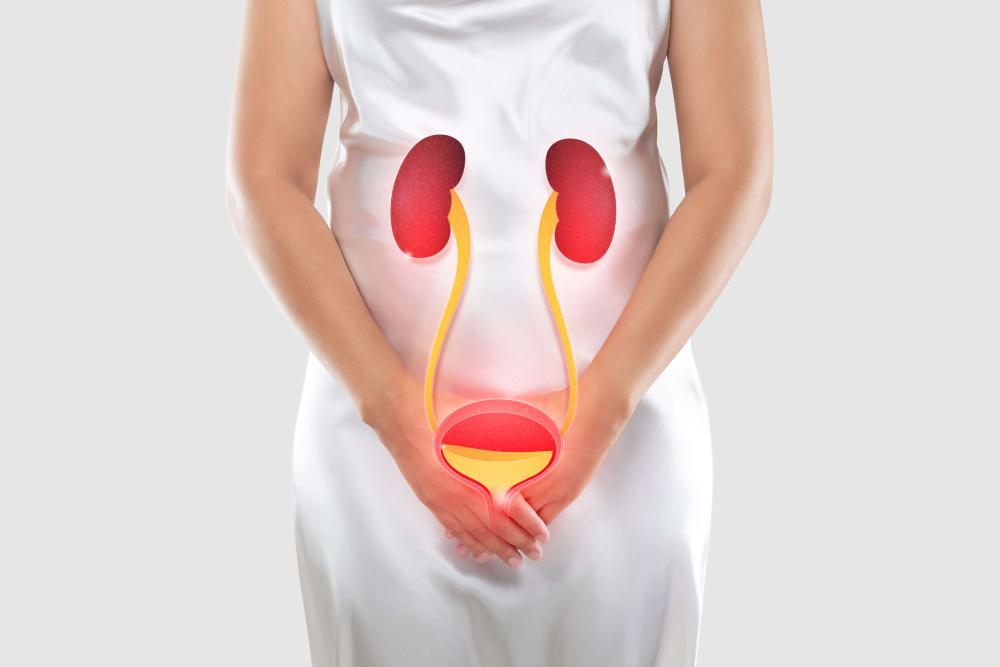 Urogynécologie Urogynécologie